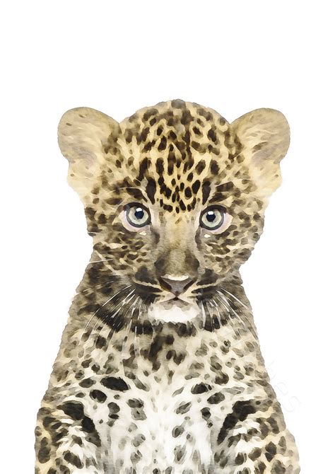Baby Jungle Animal Watercolour Prints Set of 6 Safari Nursery Art | Art