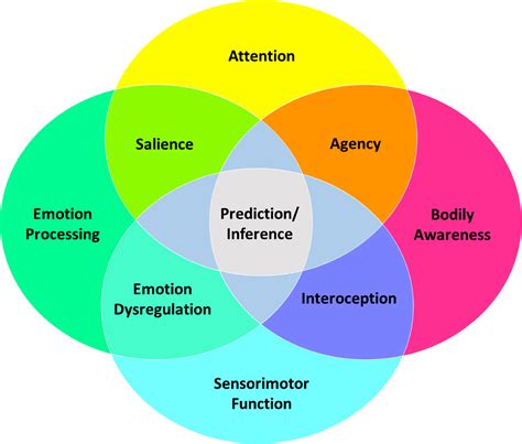 A Framework For Understanding The Pathophysiology Of Functional