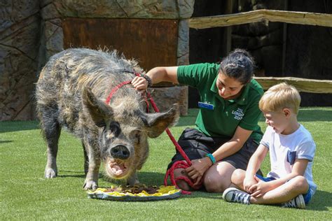 London Zoo First Look At Animal Adventure Section As It Reopens After