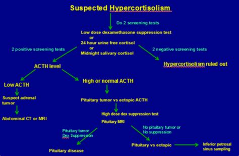 Cushings Syndrome Flashcards Quizlet