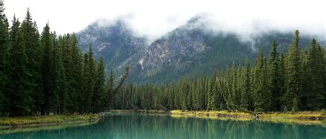 Banff Boreal Forest Trees Lake Canada Generic Landscape Pc