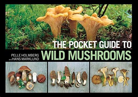 List Of Ten Best Wild Mushroom Field Guides Top Picks 2023 Reviews