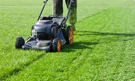 Top 10 Local Lawn Care Services In South Bucks District Airtasker Uk