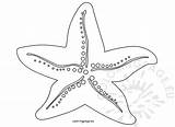 Starfish Coloring Reddit Email Coloringpage Eu sketch template