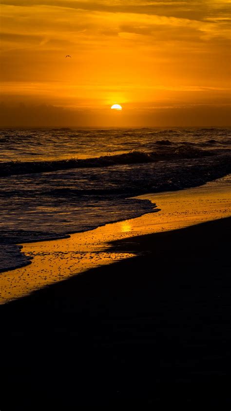 Wallpaper Golden Sky Sunset Sea Beach