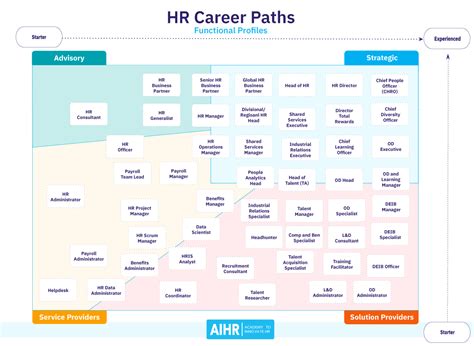 Hr Career Path Everything You Need To Know Aihr