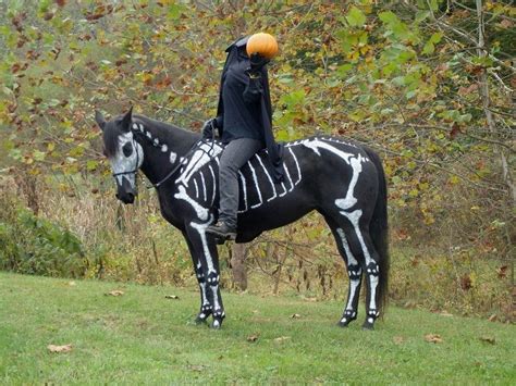 Sleepy Hollows Headless Horseman This Costume Was Designed And Made