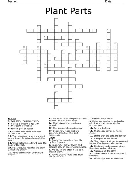 Spiky Flower Crossword Puzzle Clue Best Flower Site