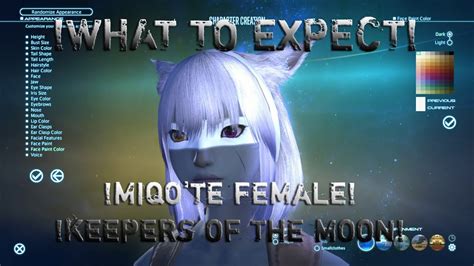 Final Fantasy Xiv Arr Character Creation Miqo Te Female Keepers Of The