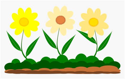 Yellow Flower Vector Image Garden Gambar Rumput Dan Bunga Kartun