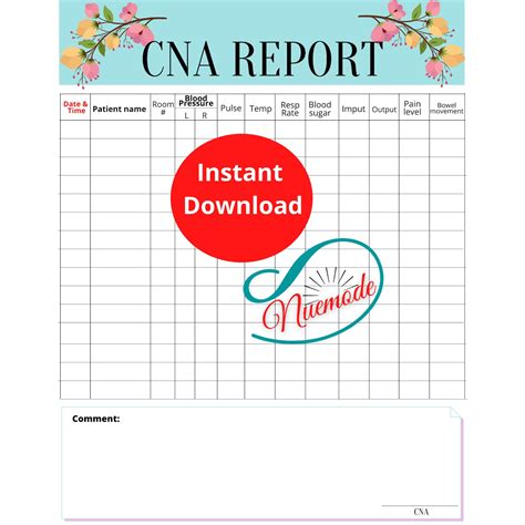 Cna Care Report Sheet Etsy