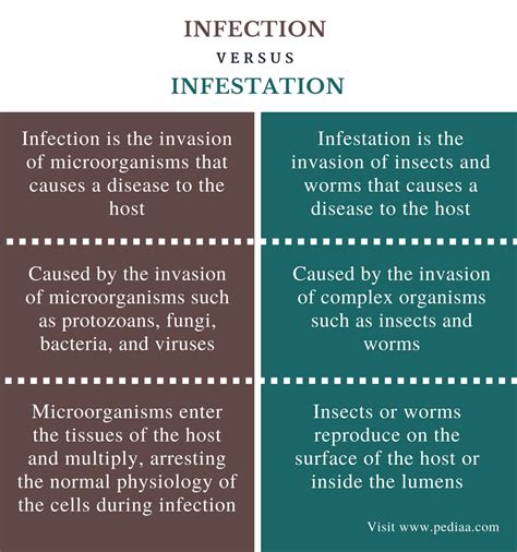 Difference Between Infection And Infestation Definition Causative