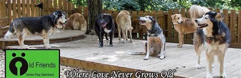 Dont Miss This Weeks Featured Rescue Friday Featuring Old Friends