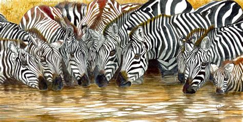Zebra Soldiers Water Break Artists For Conservation