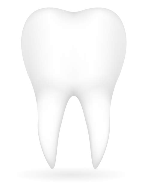 Tooth Vector Illustration 490502 Vector Art At Vecteezy