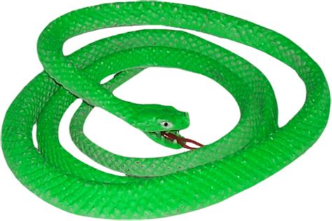 Green Snake Png Image Png Mart