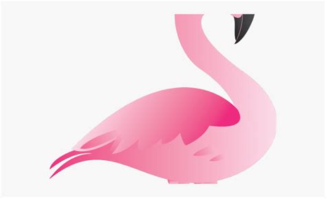Flamingo Clipart Cartoon Flamingo Cartoon Transparent