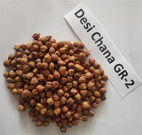 Brown DESI CHICKPEAS DESI CHANA Packaging Type CLOTH BAG Packaging Size Kg At Rs Kg