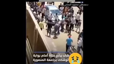 فيديو مقتل فتاة جامعة المنصوره youtube