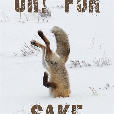 oh for fox sake fox sake fox sake