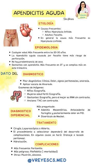 Flashcard Apendicitis Aguda Valeria Sofia Reyes Castro Udocz