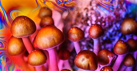 Magic Mushrooms May Provide Relief From Anxiety