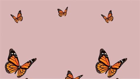 Butterfly Macbook Wallpaper Imagem De Fundo De Computador Papel De