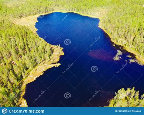 Aerial View Of A Calm Lake And Forest Landscape During A Sunny Day