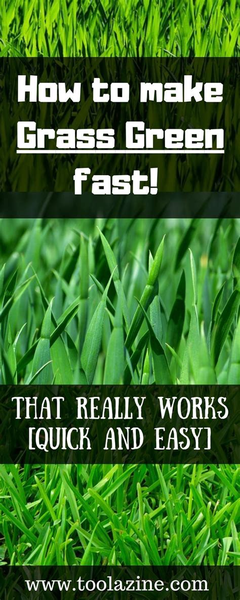 How To Make Grass Green Fast [quick And Easy] If You Have A Lawn And Most People Do It Looks