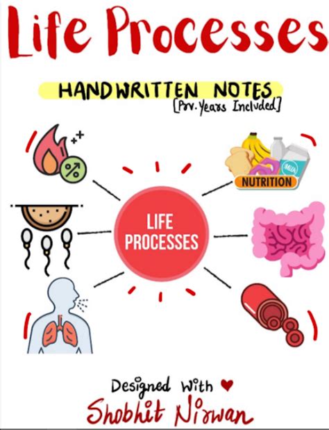 Shobhit Nirwan Life Processes Notes Pdf