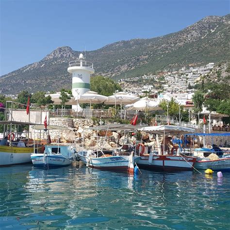 No Turtles In The Still And Turquoise Waters Of Kalkan Harbour This