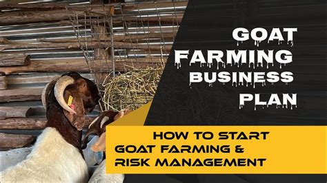 Free Masterclass How To Start Goat Farm Part Youtube