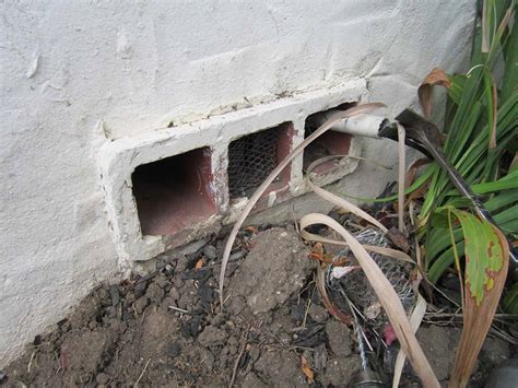 Pest exclusion materials and methods. Pest Solutions Termite & Pest Control in Los Angeles, CA