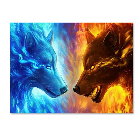 Trademark Art Fire And Ice Graphic Art Print On Wrapped Canvas Wayfair