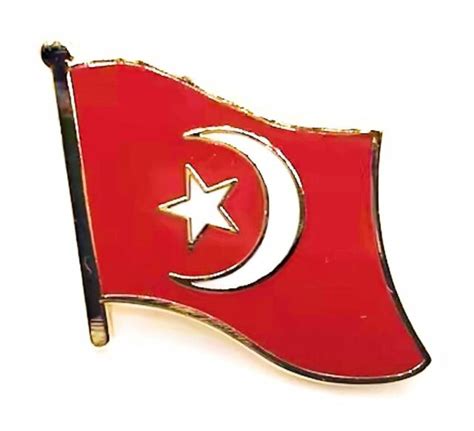 Nation Of Islam Flag Pin Ebay