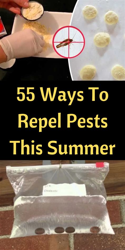 Meanwhile some pest repellers are more scientific or clinical in nature. Here's how hanging bags of water above your doors can ...