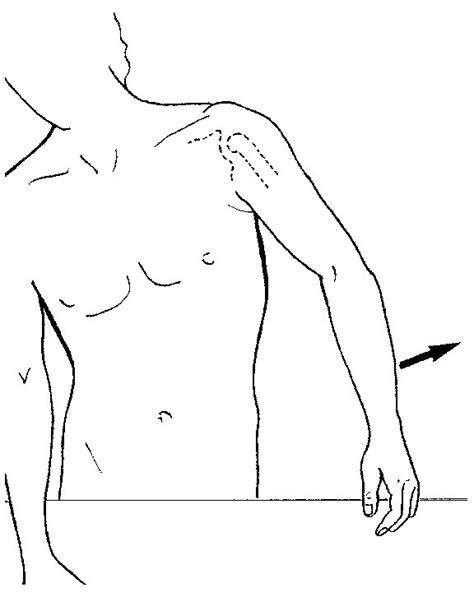 The Scapulohumeral Rhythm Academy Of Clinical Massage