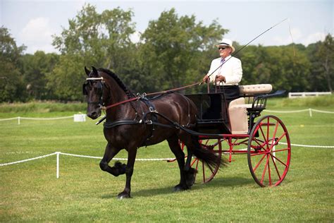Made In The Usa See Our Fine Selection Of Horse Drawn Vehicles