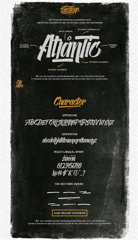 Moonface script adalah jawaban bagus bagi font script bergaya olahraga dan stadium. The Sectione Bright by Rvq #Type Foundry on Behance ink ...