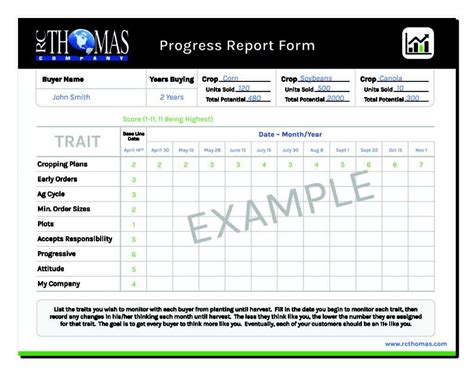 21 Free Progress Report Template Word Excel Formats