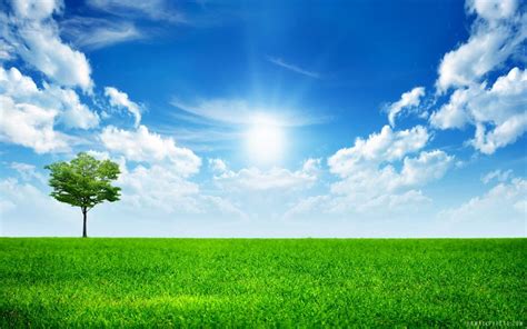 Sunny Day Wallpaper Nature And Landscape Wallpaper Better
