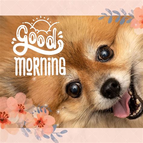 Animated Cute Good Morning  4 For Animated S
