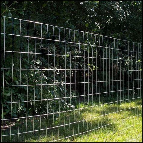 5 Ft Welded Wire Fence Welded Wire Fence Wire Mesh Fence Wire Fence