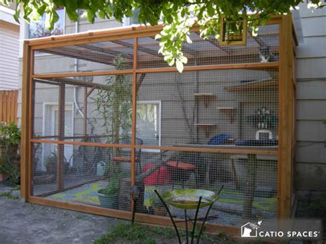 My husband also had ideas of his own based on living with these wonderful cats for over nineteen years now. All About Catios & Cat Enclosures - Catio Spaces