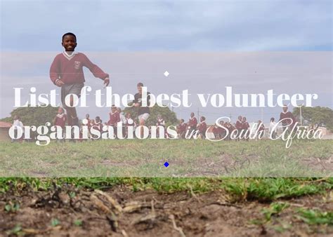 List Of The Best Volunteer Organisations And Programs In South Africa