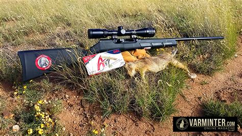 Review Of The Savage A17 Semi Auto 17hmr Rifle