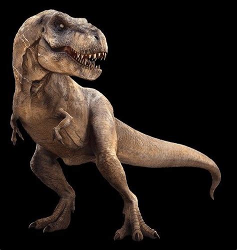 T Rex Dinosaur Jurassic Park Jurassic World Colossal Tyrannosaurus Rex