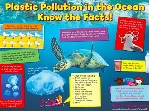 Lets Investigate Plastic Pollution Fact Sheet Teaching Resources