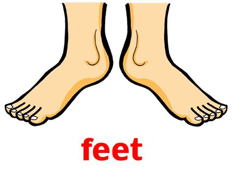 Feet Clipart Free Download On Clipartmag