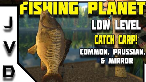 I explain what gear, what retrieve and at what level from the start. Fishing Planet TIPS! | Low Level Guide | Catch CARP! | Lesni Vila FIshery | Czech Republic - YouTube